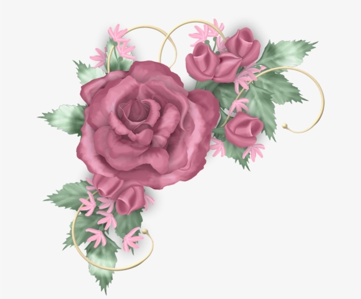 135-1353094_flower-borders-rose-pictures-real-flowers-beautiful-png