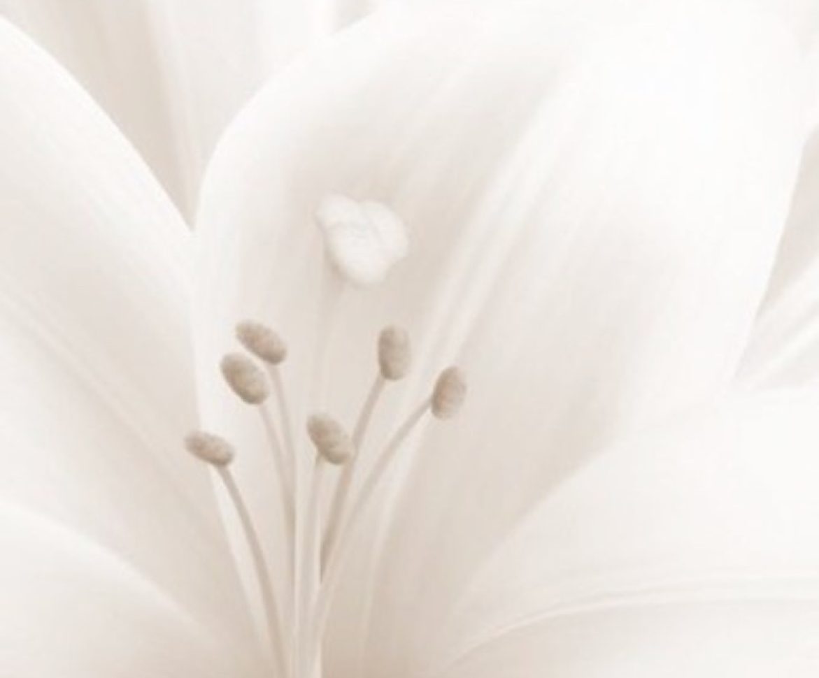 Lilly